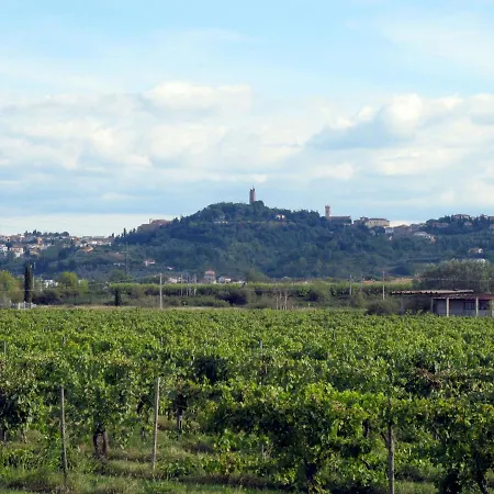 Locazione Turistica Fattoria Di Scaletta * Gavena